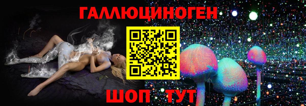 Астрахань  Галлюциногенные грибы ЛСД  Галлюциногенные грибы Psilocybe  Вход с VPN 